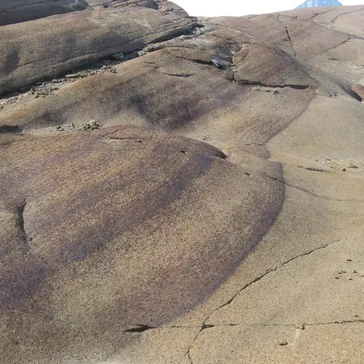 Self-organisation in plutonic igneous rocks 